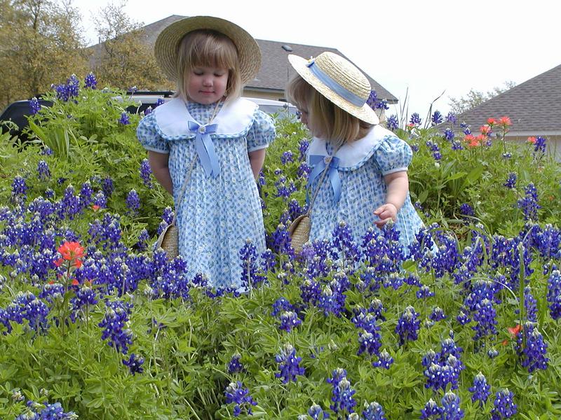 camera/2001/03(March)/03_25_Bluebonnets/800x600_P3250004.JPG