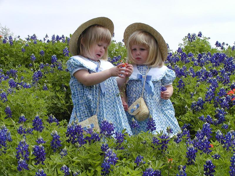 camera/2001/03(March)/03_25_Bluebonnets/800x600_P3250005.JPG