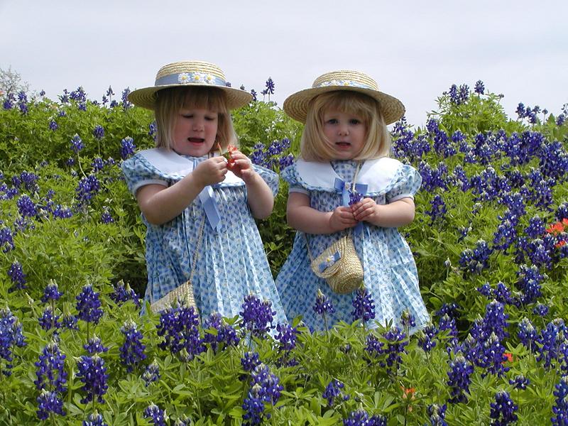 camera/2001/03(March)/03_25_Bluebonnets/800x600_P3250009.JPG
