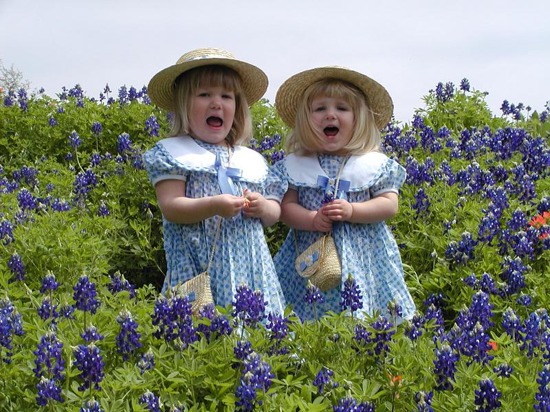 camera/2001/03(March)/03_25_Bluebonnets/800x600_P3250011.JPG