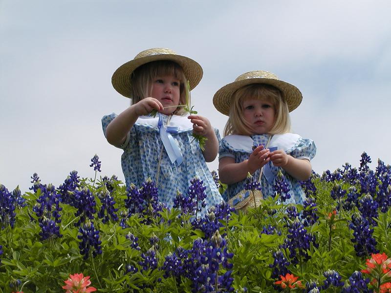 camera/2001/03(March)/03_25_Bluebonnets/800x600_P3250014.JPG
