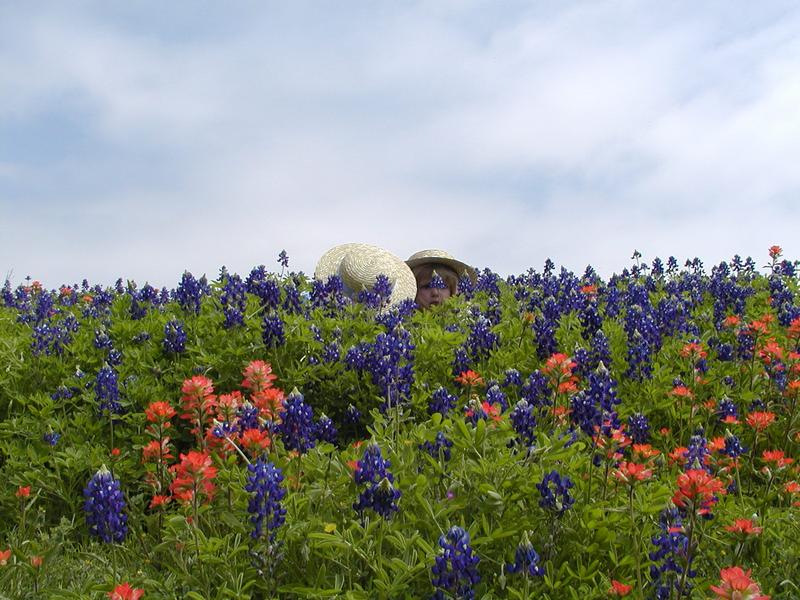 camera/2001/03(March)/03_25_Bluebonnets/800x600_P3250015.JPG