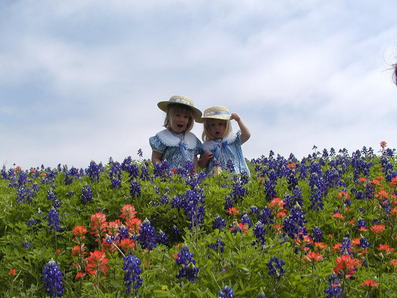 camera/2001/03(March)/03_25_Bluebonnets/800x600_P3250016.JPG