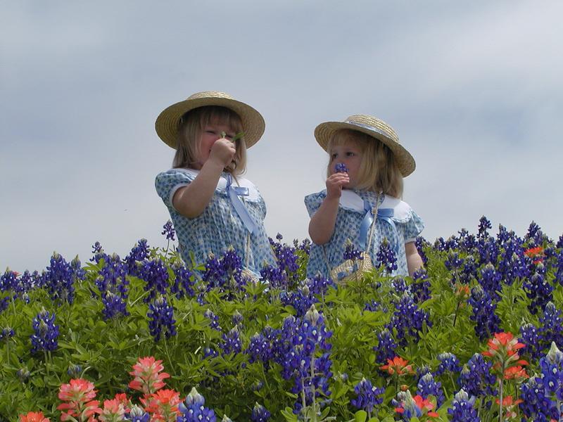 camera/2001/03(March)/03_25_Bluebonnets/800x600_P3250017.JPG