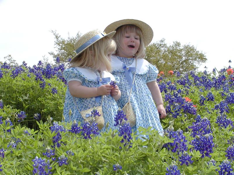 camera/2001/03(March)/03_25_Bluebonnets/800x600_P3250020.JPG