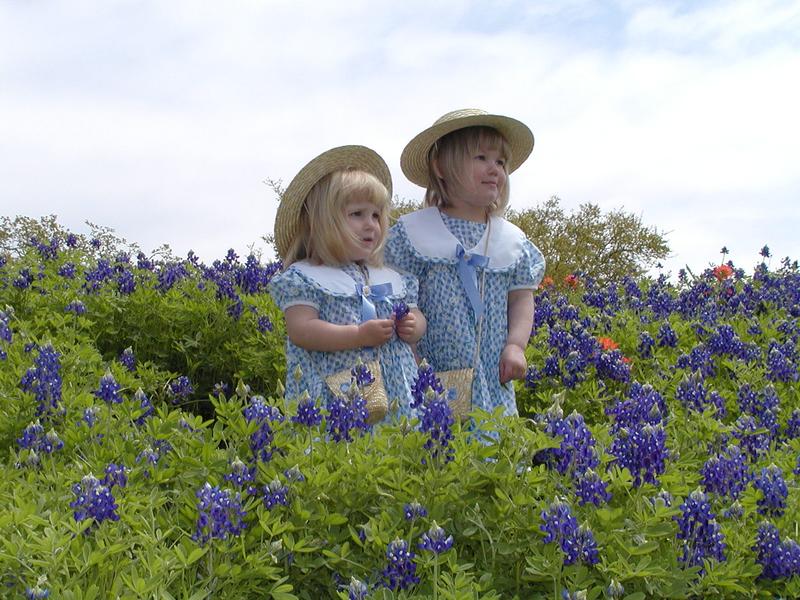 camera/2001/03(March)/03_25_Bluebonnets/800x600_P3250021.JPG