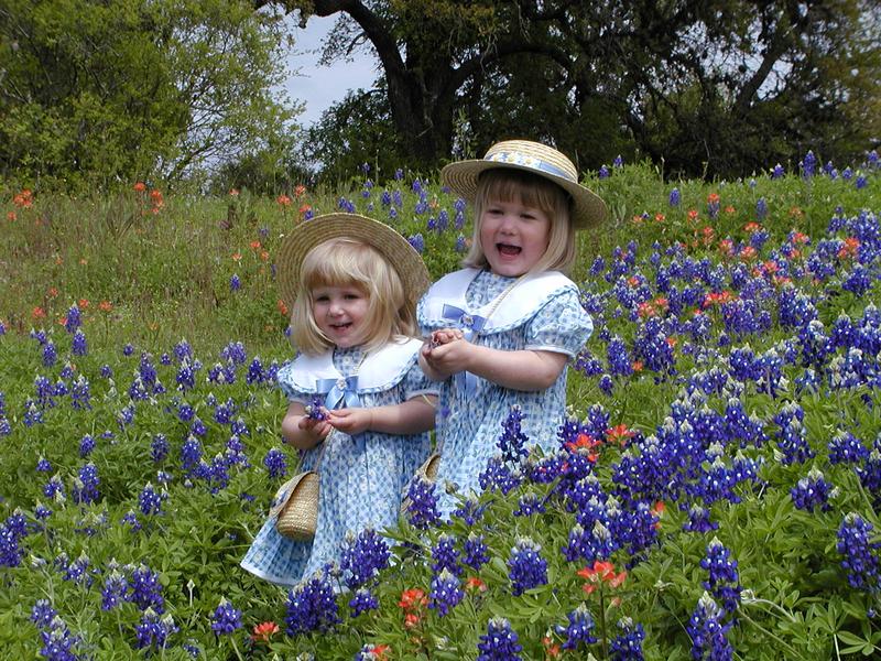 camera/2001/03(March)/03_25_Bluebonnets/800x600_P3250026.JPG