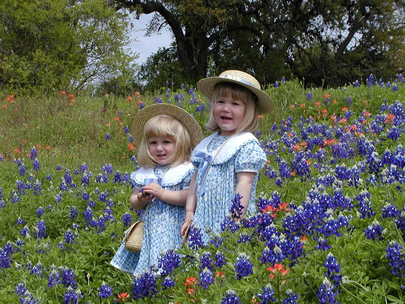 camera/2001/03(March)/03_25_Bluebonnets/800x600_P3250027.JPG