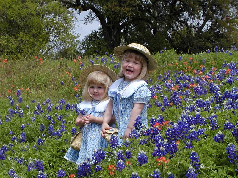camera/2001/03(March)/03_25_Bluebonnets/800x600_P3250028.JPG