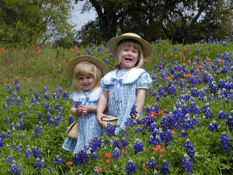 camera/2001/03(March)/03_25_Bluebonnets/800x600_P3250029.JPG