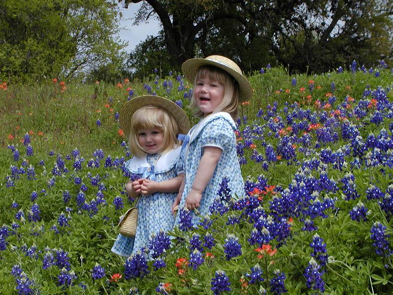 camera/2001/03(March)/03_25_Bluebonnets/800x600_P3250031.JPG
