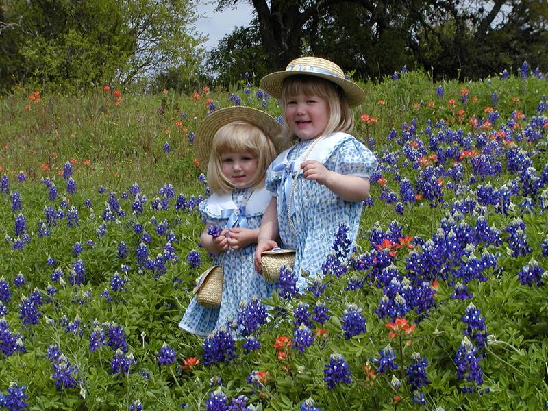 camera/2001/03(March)/03_25_Bluebonnets/800x600_P3250036.JPG