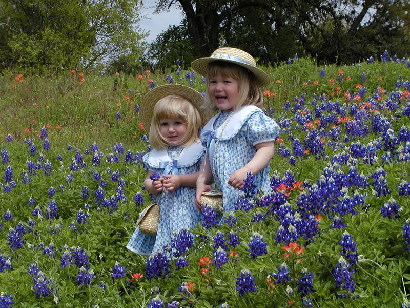 camera/2001/03(March)/03_25_Bluebonnets/800x600_P3250039.JPG
