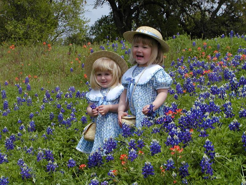 camera/2001/03(March)/03_25_Bluebonnets/800x600_P3250041.JPG