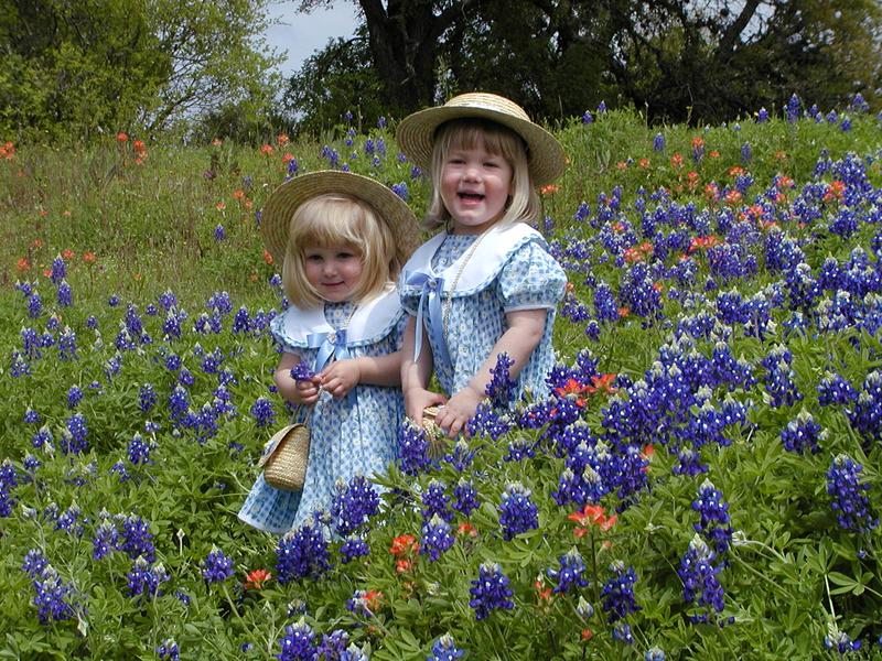 camera/2001/03(March)/03_25_Bluebonnets/800x600_P3250044.JPG