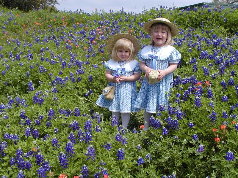 camera/2001/03(March)/03_25_Bluebonnets/800x600_P3250045.JPG