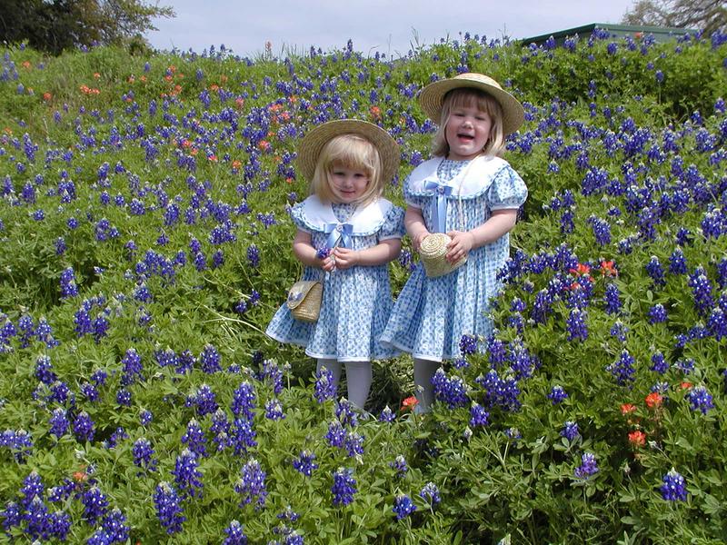 camera/2001/03(March)/03_25_Bluebonnets/800x600_P3250047.JPG