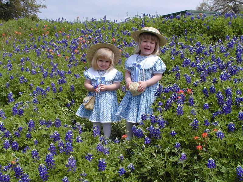 camera/2001/03(March)/03_25_Bluebonnets/800x600_P3250048.JPG