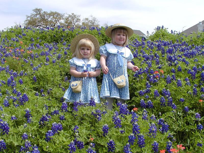 camera/2001/03(March)/03_25_Bluebonnets/800x600_P3250049.JPG