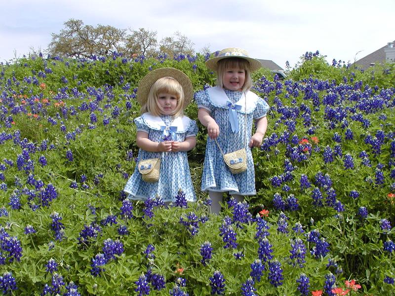 camera/2001/03(March)/03_25_Bluebonnets/800x600_P3250050.JPG