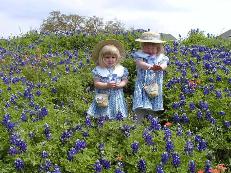 camera/2001/03(March)/03_25_Bluebonnets/800x600_P3250053.JPG
