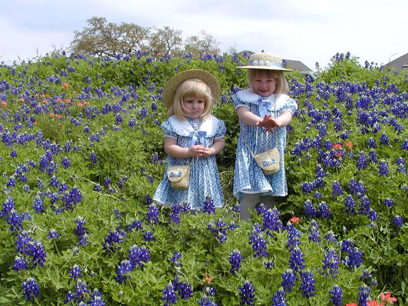 camera/2001/03(March)/03_25_Bluebonnets/800x600_P3250054.JPG