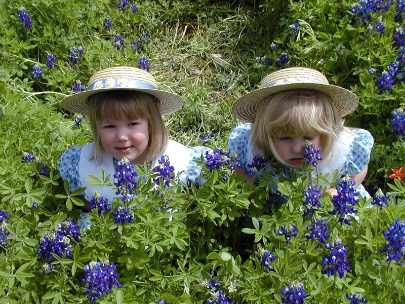 camera/2001/03(March)/03_25_Bluebonnets/800x600_P3250056.JPG