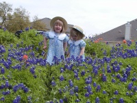 camera/2001/03(March)/03_25_Bluebonnets/P3250001.JPG