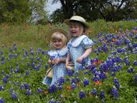 P3250039.JPG