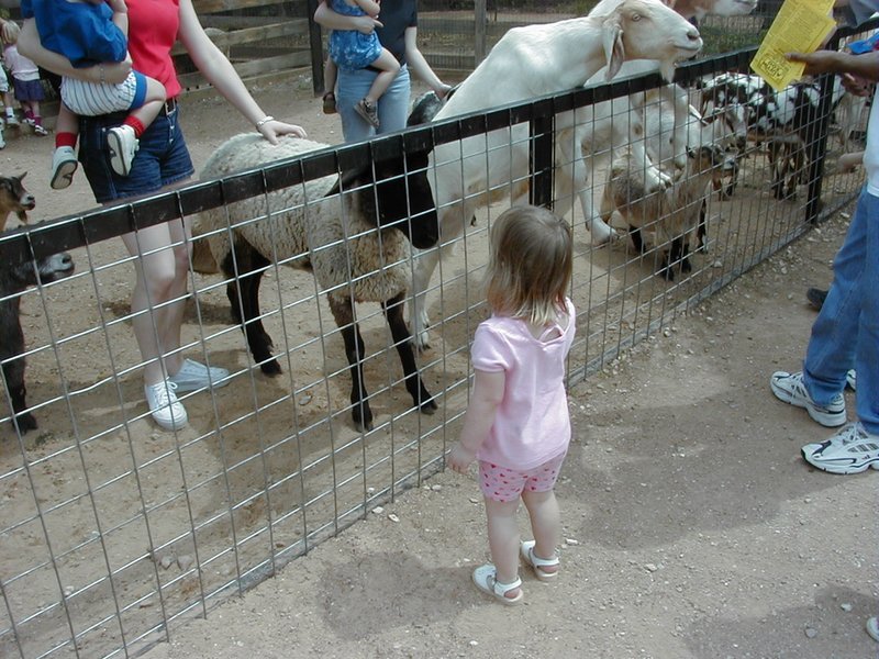 camera/2001/04(April)/04_07_Zoo/800x600_P4070003.JPG