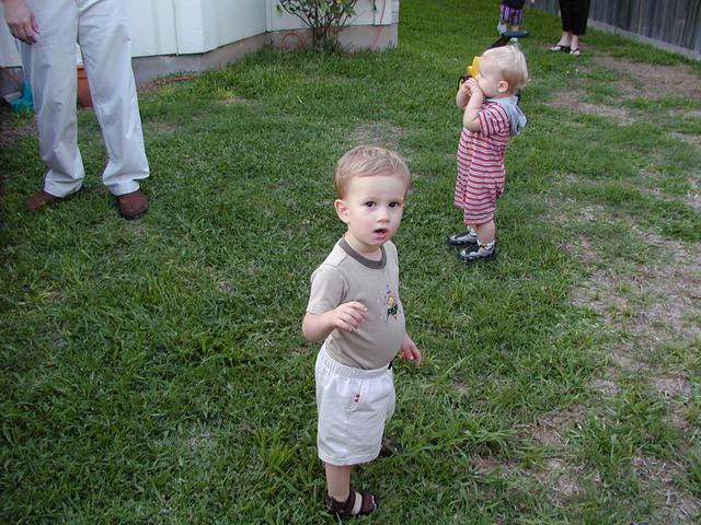camera/2001/04(April)/04_28_Babysitting/640x480_P4280033.JPG