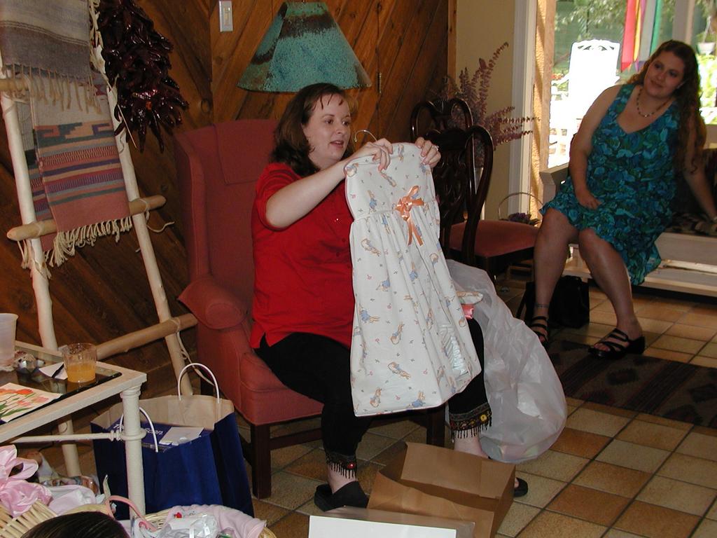 camera/2001/06(June)/06_02_Pam's_Baby_Shower/1024x768_P6020035.JPG