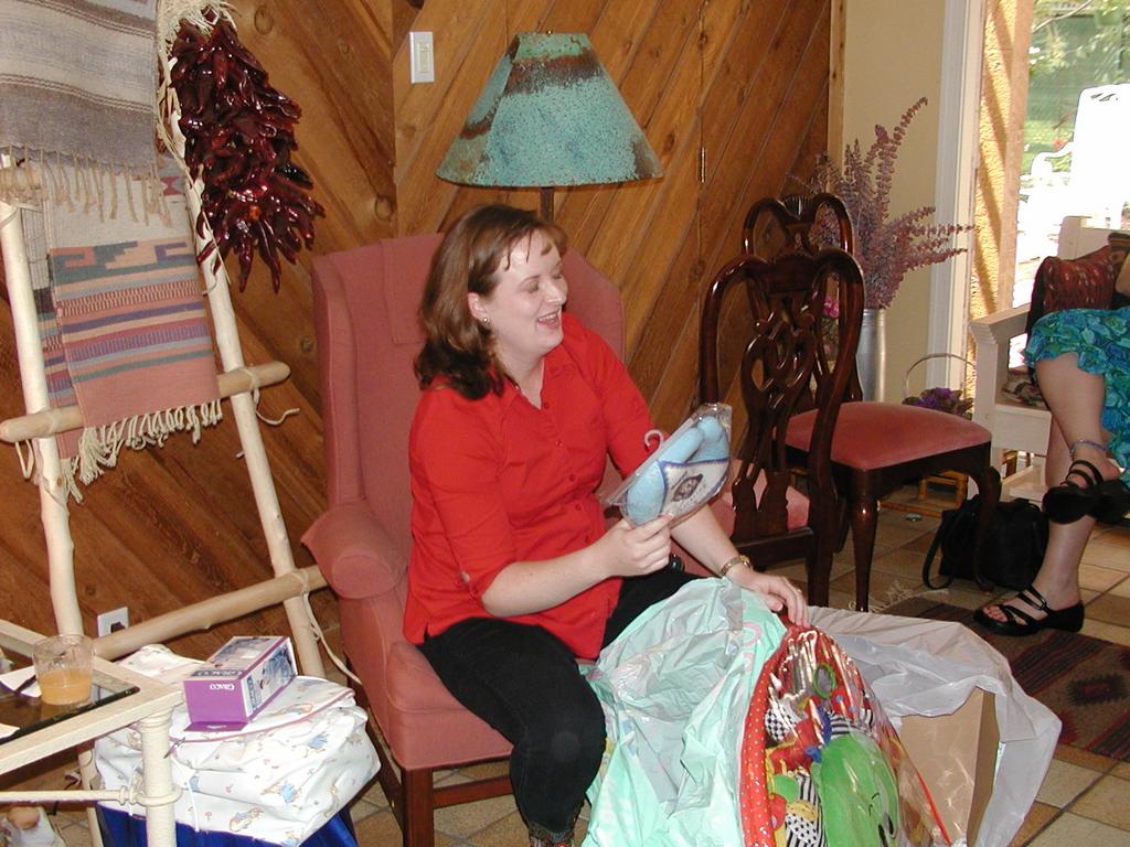 camera/2001/06(June)/06_02_Pam's_Baby_Shower/1024x768_P6020038.JPG