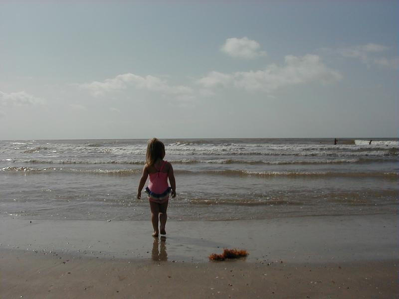 camera/2001/08(August)/08_12_Galveston/800x600_P8120020.JPG