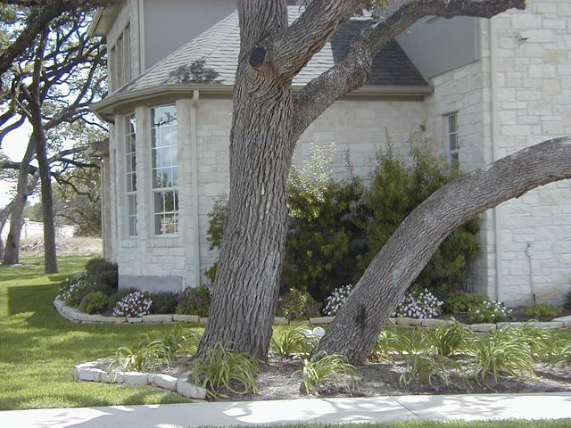 P8260007.JPG
