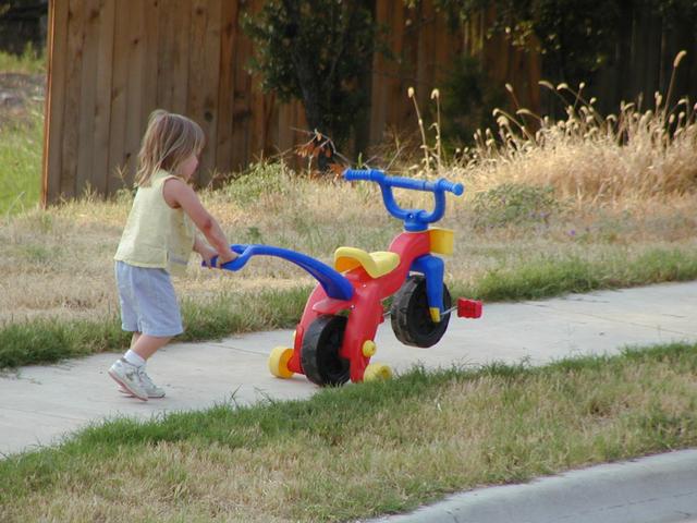 camera/2001/08(August)/Miscellaneous/640x480_P8240024.JPG