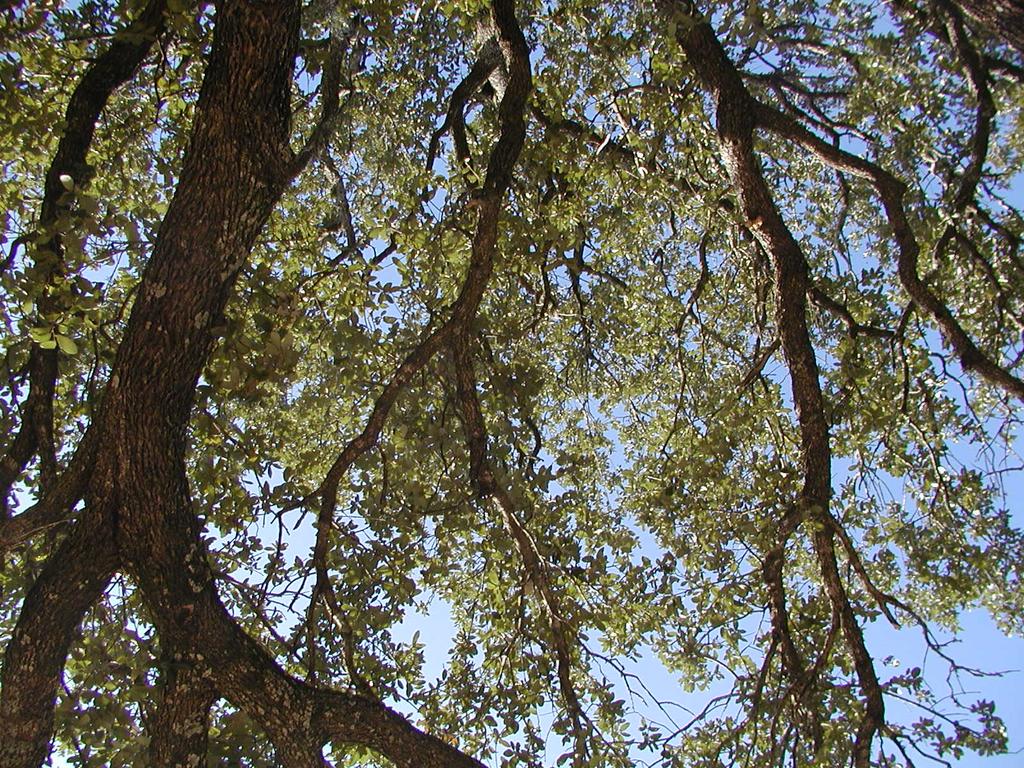 PA270031.JPG