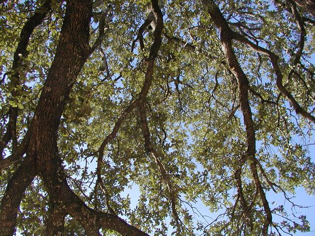 PA270031.JPG