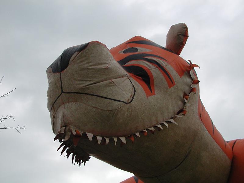 PB170063.JPG