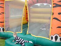 PB170007.JPG