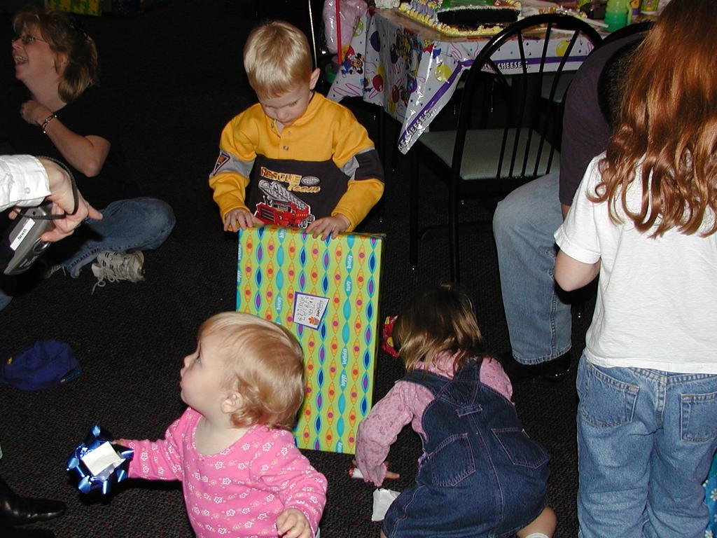 camera/2001/11(November)/11_17_Riley's_Birthday_Party/1024x768_PB170003.JPG
