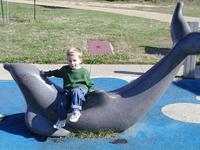 PC010005.JPG