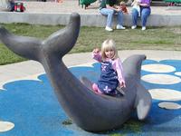 PC010017.JPG