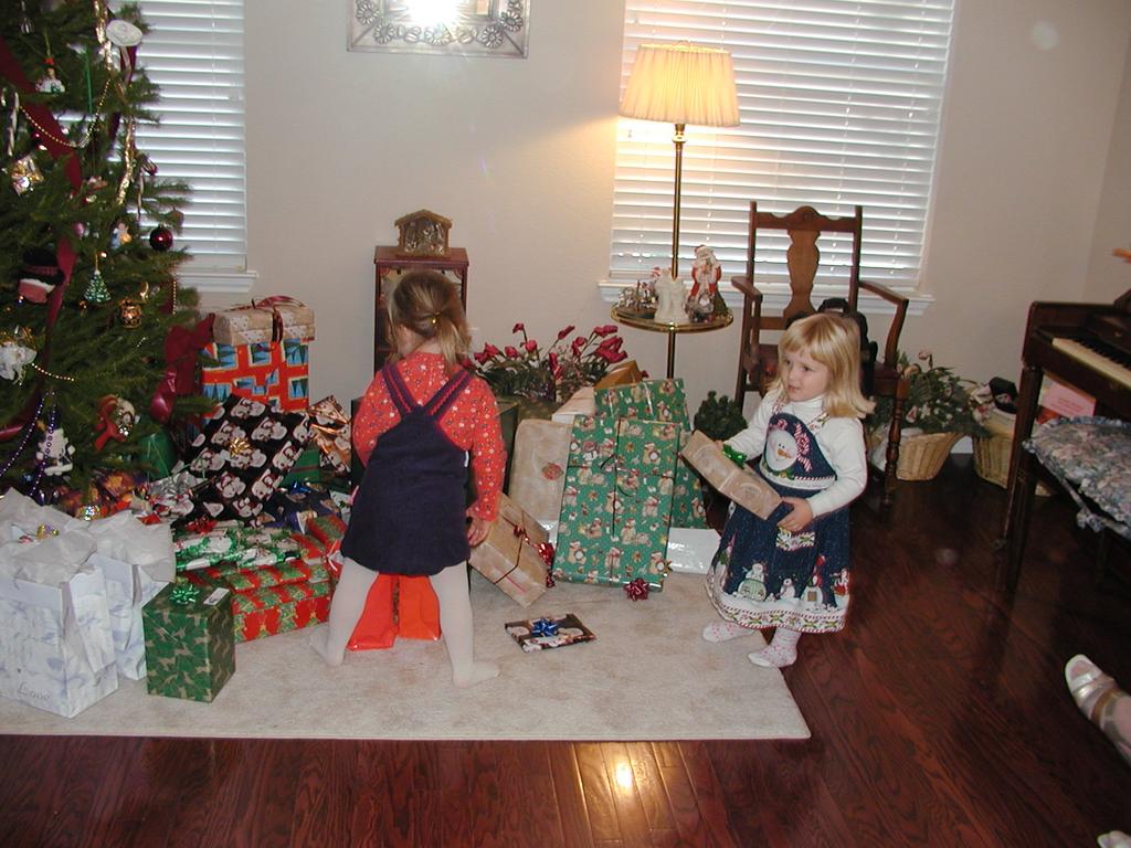 camera/2001/12(December)/12_25_Christmas_Day/1024x768_PC250029.JPG