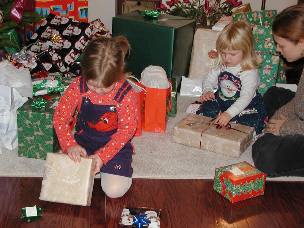 camera/2001/12(December)/12_25_Christmas_Day/1024x768_PC250031.JPG