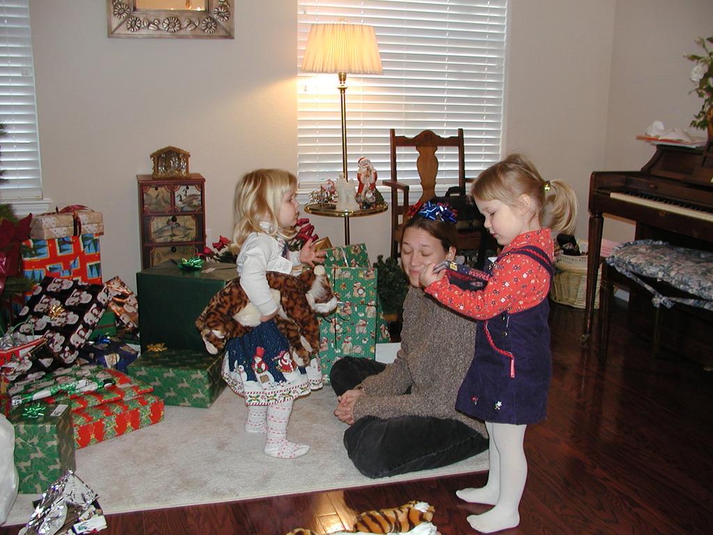 camera/2001/12(December)/12_25_Christmas_Day/1024x768_PC250040.JPG