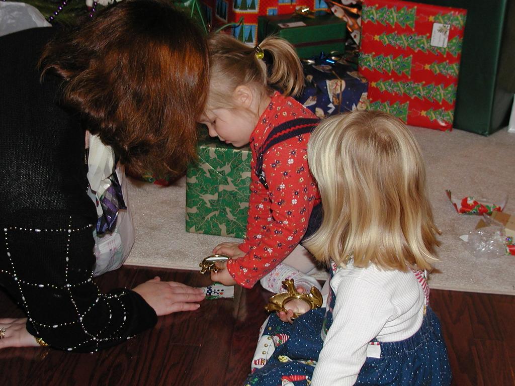 camera/2001/12(December)/12_25_Christmas_Day/1024x768_PC250048.JPG
