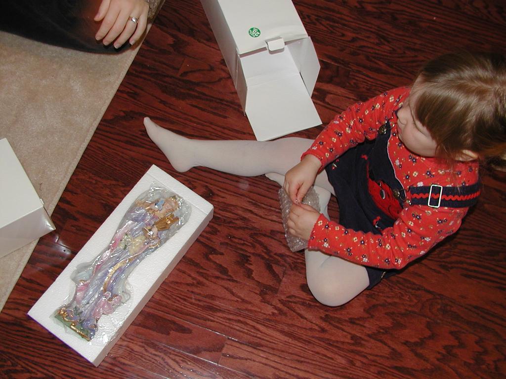 camera/2001/12(December)/12_25_Christmas_Day/1024x768_PC250055.JPG