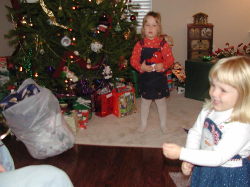 camera/2001/12(December)/12_25_Christmas_Day/1024x768_PC250056.JPG