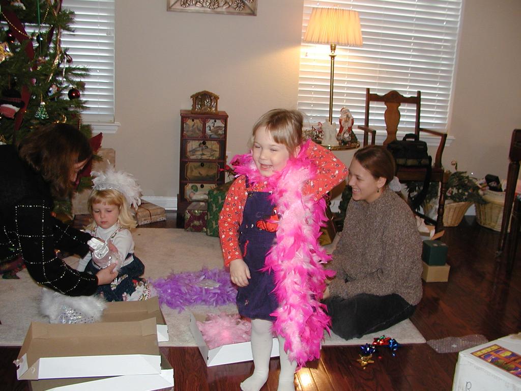 camera/2001/12(December)/12_25_Christmas_Day/1024x768_PC250066.JPG